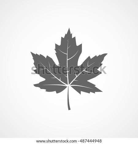 Maple Leaf Flat Icon On White Background Royalty-Free Stock Photo #487444948