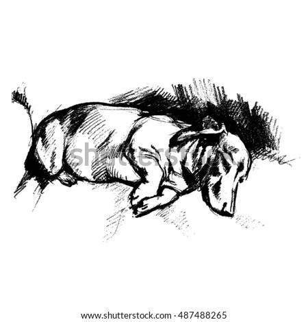 Hand drawn sketch of slepping shorthaired mini dachshund dog