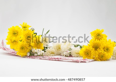 Yellow and white chrysanthemum flowers put on the red checkered cloth. On a white background