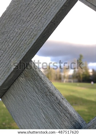 peeking through fence