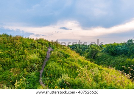 Pathway on a hill with wildflowers. Beautiful natural landscape at sunset with green grass, flowers and cloudy sky. Image of travelling and adventure in countryside. Great outdoors picture.