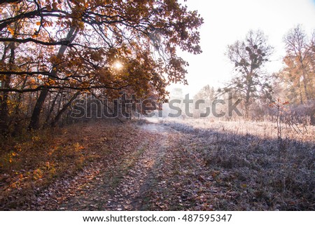 beautiful landscape with morning frost,Autumn field morning
