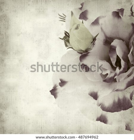 textured old paper background with white and blue Lisianthus flower
