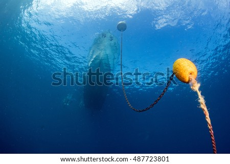boat chain and yellow buoy anchor from underwater