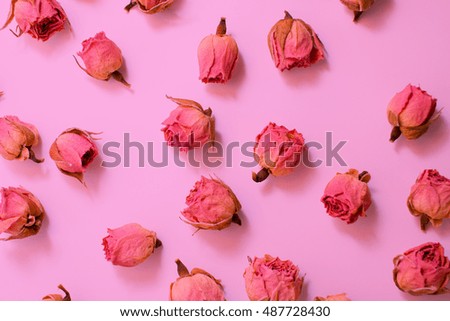 Background with little red roses isolated on pink. Flat design picture with top view