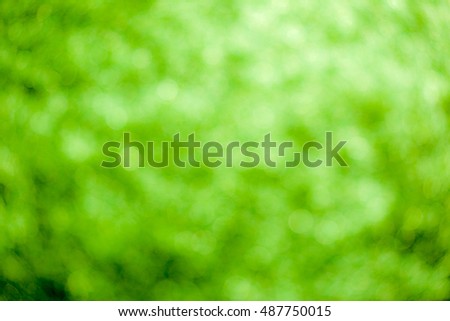 Green bokeh soft background