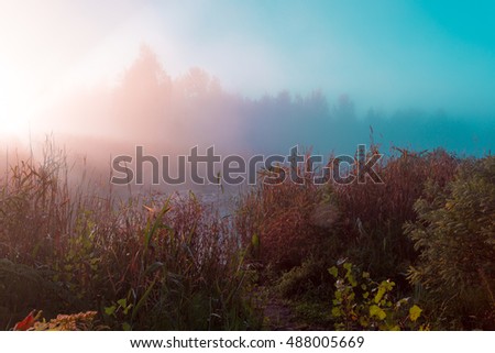 Morning fog over reeds at lake coast. Ukraine.
