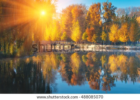 Beautiful autumn scene. Colorful foliage in the park at sunshine. Reflection of trees in water. Filtered image: Soft and colorful effects.
