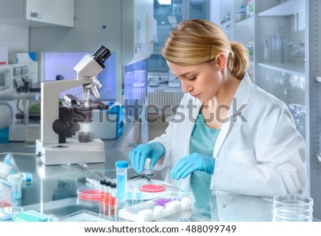 Young female scientist dissects tissue samples for cell culture in modern laboratory Royalty-Free Stock Photo #488099749