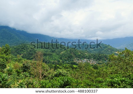 Mountain green forests with nature landscape ,cloud cover