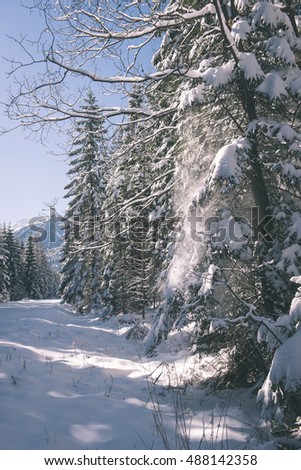 sunny tourist hiking track in winter snow, in western carpathian, tatry mountains - vintage film effect