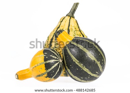Vegetables of pumpkin decorative isolated on white background