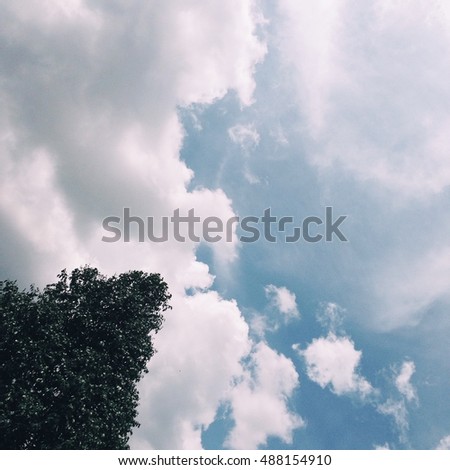 sky with top tree and copy space . Branch Tree background in Vintage film color tone tuned