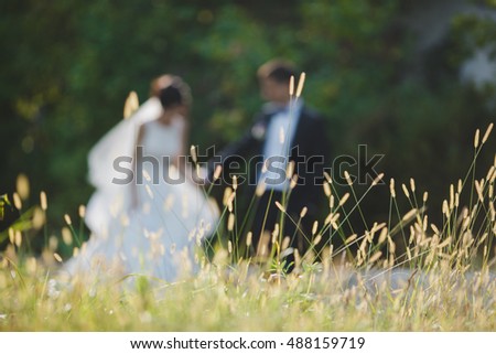 Picture of high yellow grass waving on the wind while newlyweds walk on the background
