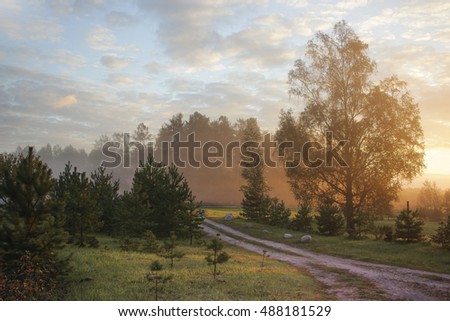 golden autumn sunrise with fog rays