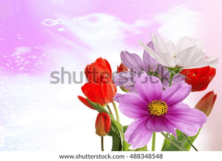 Beautiful flower design.Bouquet