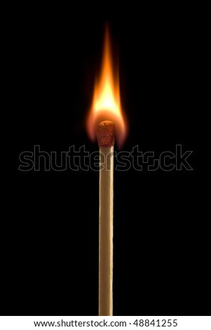 Bright fire on a black background. Royalty-Free Stock Photo #48841255