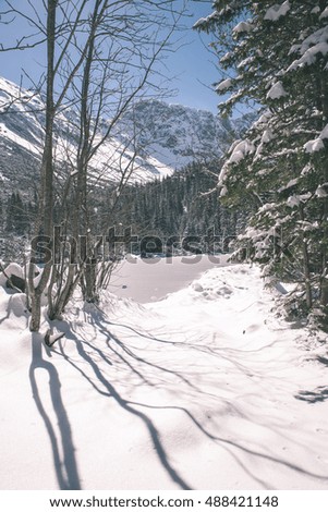 Beautiful landscape view of Western carpathian, Tatry mountains in winter - vintage film effect