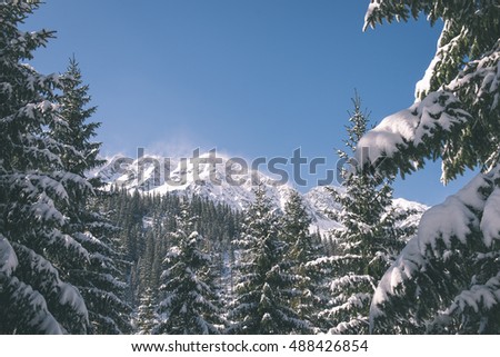 Beautiful landscape view of Western carpathian, Tatry mountains in winter - vintage film effect