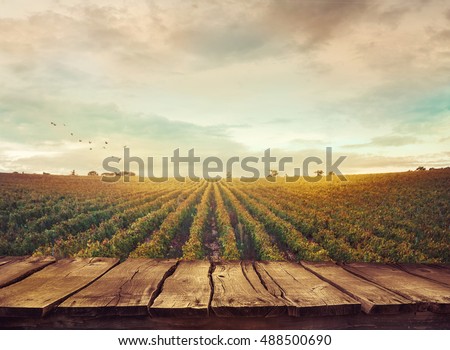 Wooden table. Spring design with vineyard and empty display. Space for your montage. Autumn grapes harvest