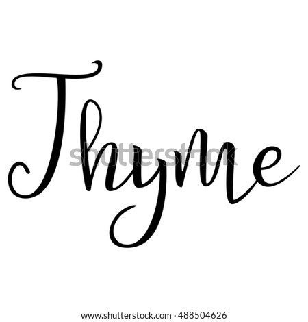 Thyme. Calligraphic Text. Typographic Design. Black Hand Lettering Text Isolated on White Background. For Posters, Design. Vector illustration
