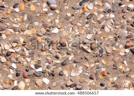 Photo picture texture sea shells and rocks on sand background