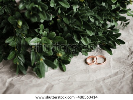 Wedding. Wedding rings on kraft paper with green leafy plants. Wedding rings on a branch.
