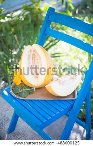 Melon sliced in vintage tray on blue wooden chair against garden background
