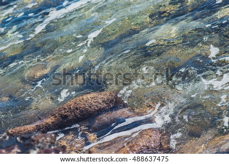 Photo closeup of beautiful clear turquoise sea ocean water surface with ripples and bright splash on seascape background, horizontal picture.