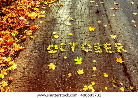 Word October written with autumn yellow maple leafs at concrete road background. 