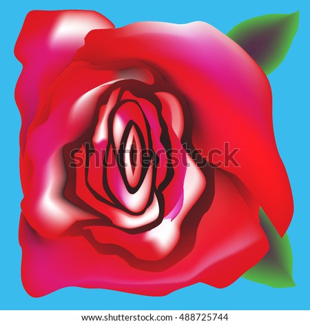 Red rose on blue square.