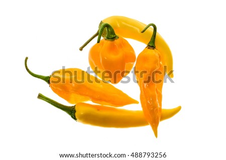 Different variety of yellow hot peppers - a bunch of chilies, isolated on white. Hot pepper Sarit Gat, Habanero Orange and Fatalii Yellow