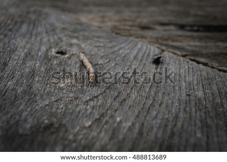 wood texture, selective focus