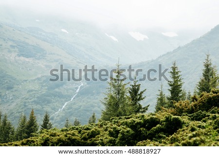 Majestic view of the wooded mountains. Dramatic and picturesque scene. Location place National park Chornogora, Carpathian, Ukraine, Europe. Artistic picture. Beauty world.