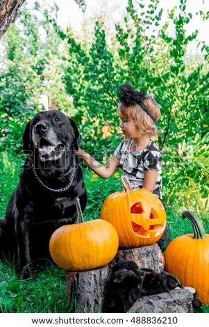 Halloween. Child dressed in black  near Labrador between jack-o-lantern decoration, trick or treat. Little girl with dog near pumpkin in the wood, outdoors. Love