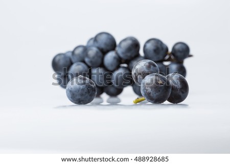 Red wine grapes isolated on white bright background / blue grapes/ wine grapes.