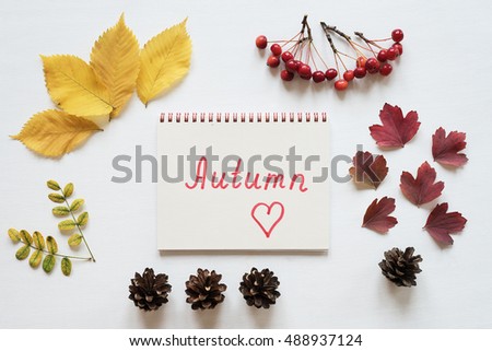 Attributes of autumn and notebook on a white board