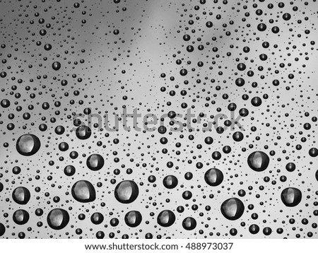 closeup drops of water on the car after rain