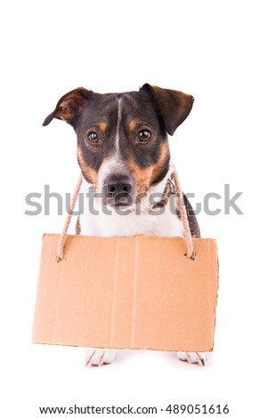 Jack Russell Terrier with a sign on a white background;