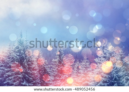 magical winter landscape, background with some soft highlights and snow flakes. Dramatic wintry scene. Carpathian, Ukraine, Europe.