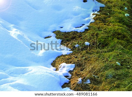 Land and the grass under the snow. winter landscape. Winter field, Belarus