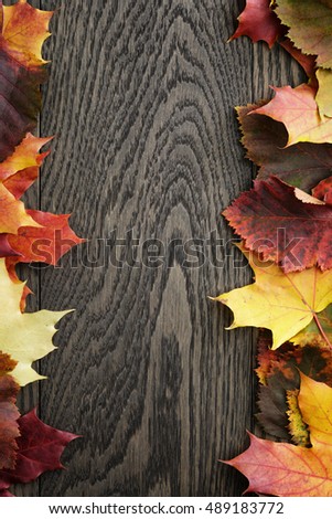 maple fall leaves on oak table border photo