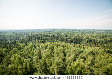 panoramic view of misty green forest. far horizon