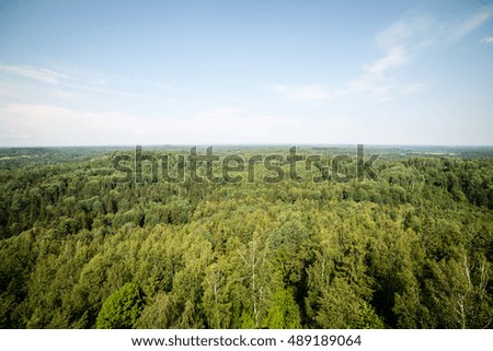 panoramic view of misty green forest. far horizon