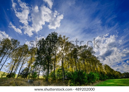 Fabulous cloudscape with beautiful trees, Armenia