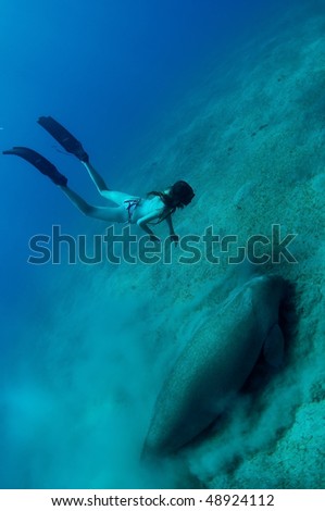 free diving girl and manatee in deep sea. two mermaid.