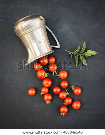 Fresh organic cherry tomatoes in silver milk jug on slate. Top view.