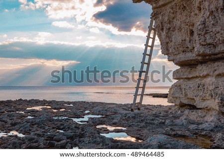 The ladder on the rock and the shore as the lunar surface