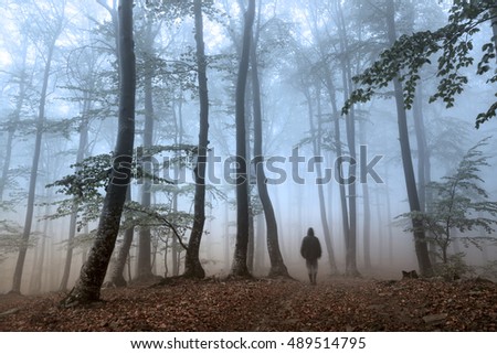 Dark strange forest in an autumn morning