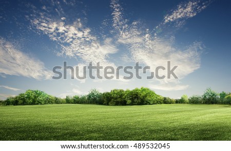 green grass field in big garden